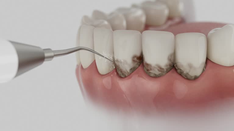 Reliable Dental contractor in Winn Parish County, LA by Dentist Open Now